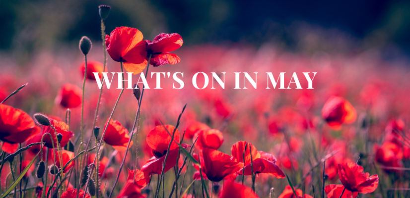 What's On In May